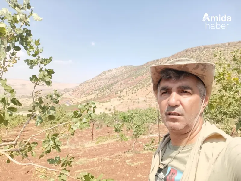 siirt-fistik-1.webp