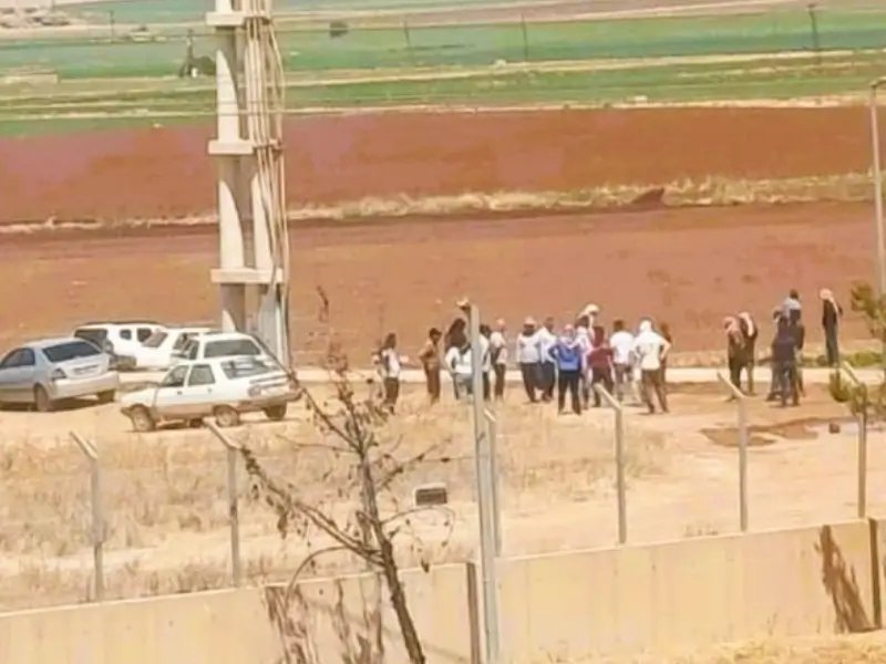 dicle-2.webp