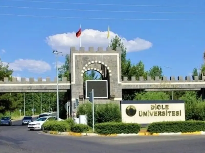 dicle-uni.webp