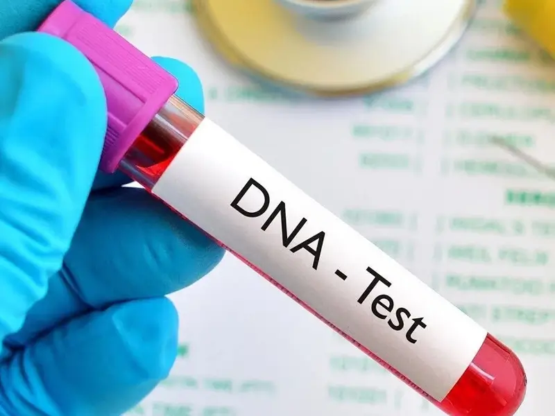 dna-testi.webp