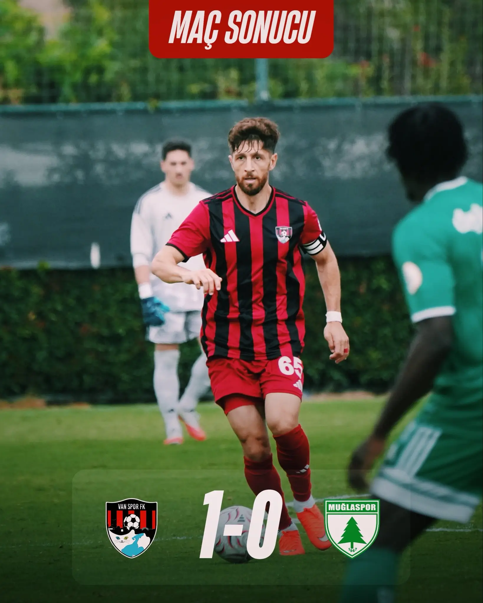 vanspor11.webp