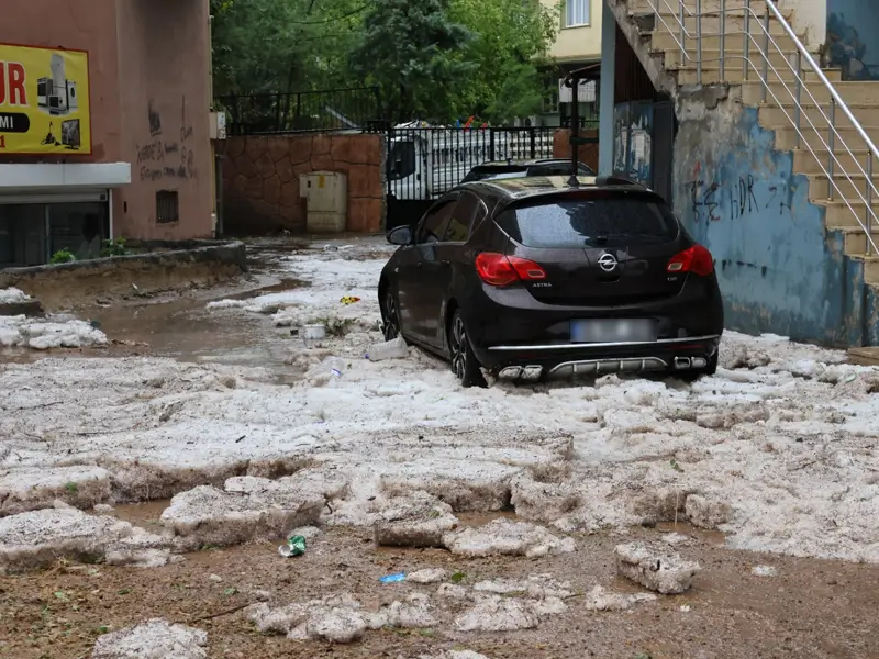 silvan-dolu.webp