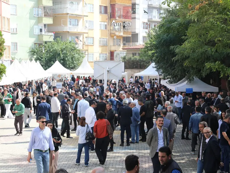 mehmet-kaya-dtsoooo.webp