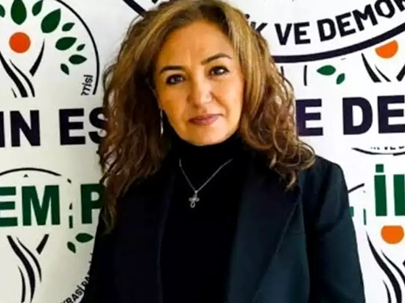 turkan-kayir.webp