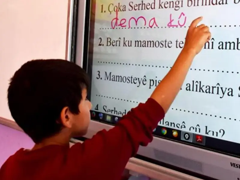 kurtce-secmeli-dersss.webp