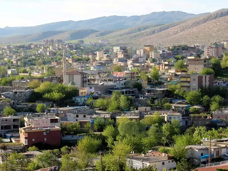 silvan.webp