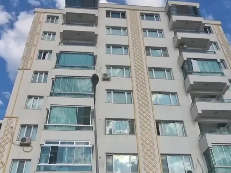 ejegul-ovezovaaa.webp