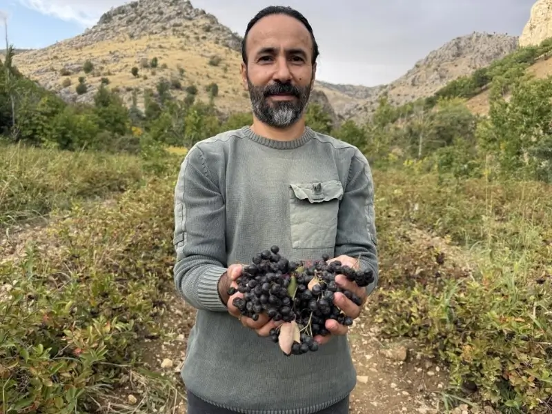 diyarbakir-14.webp