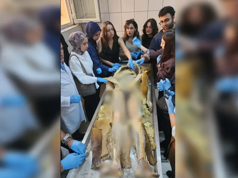 uygulamali-adli-tip-egitimii.webp